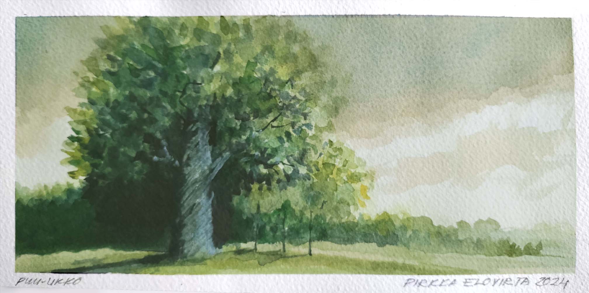 vesiv&auml;rity&ouml;